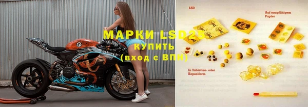 ПСИЛОЦИБИНОВЫЕ ГРИБЫ Гусиноозёрск