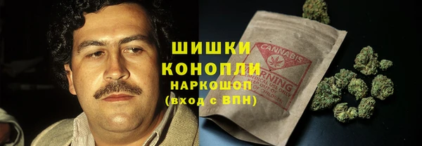 дмт Гусь-Хрустальный