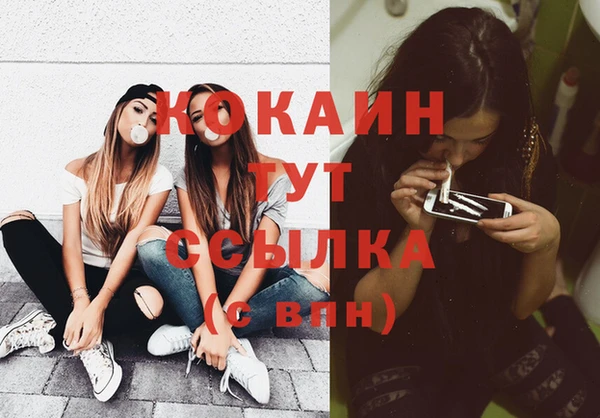 дмт Гусь-Хрустальный
