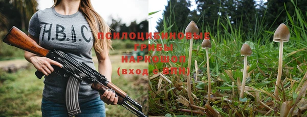 бутират Горнозаводск