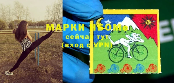 ПСИЛОЦИБИНОВЫЕ ГРИБЫ Гусиноозёрск
