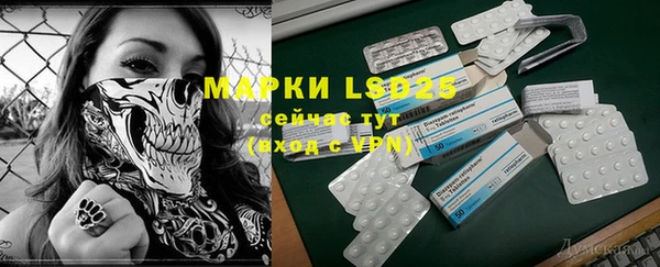 ПСИЛОЦИБИНОВЫЕ ГРИБЫ Гусиноозёрск