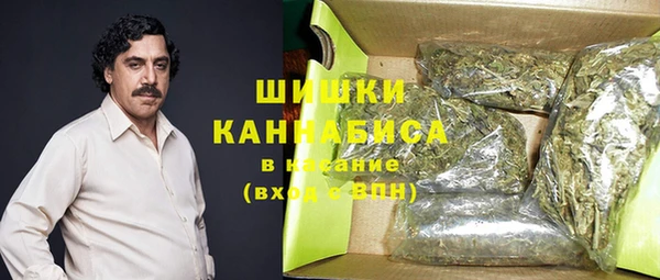 mdpv Горно-Алтайск